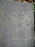 image of grave number 676850